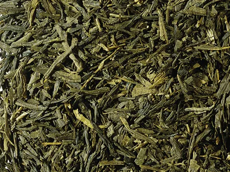 Grüner Tee Sencha BIO
